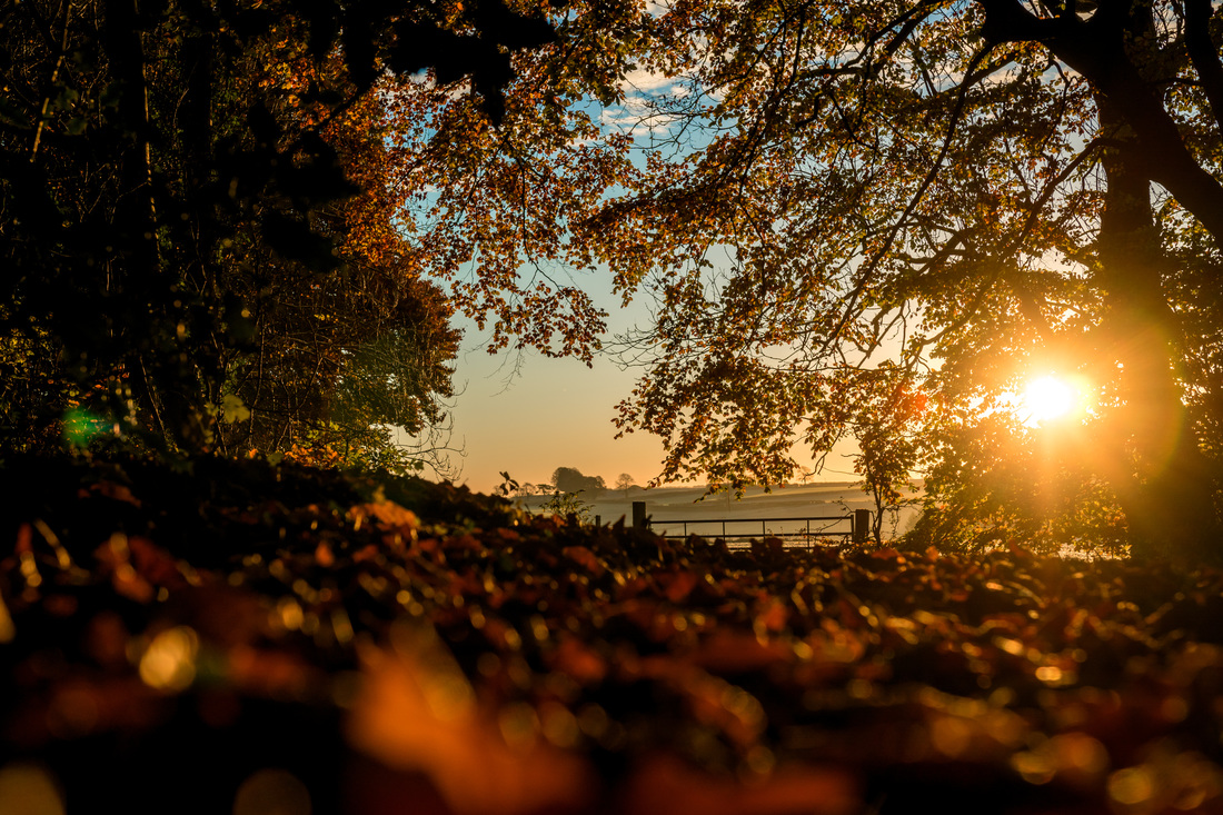 cancer blog photography cheltenham gloucestershire testicular cancer story 1