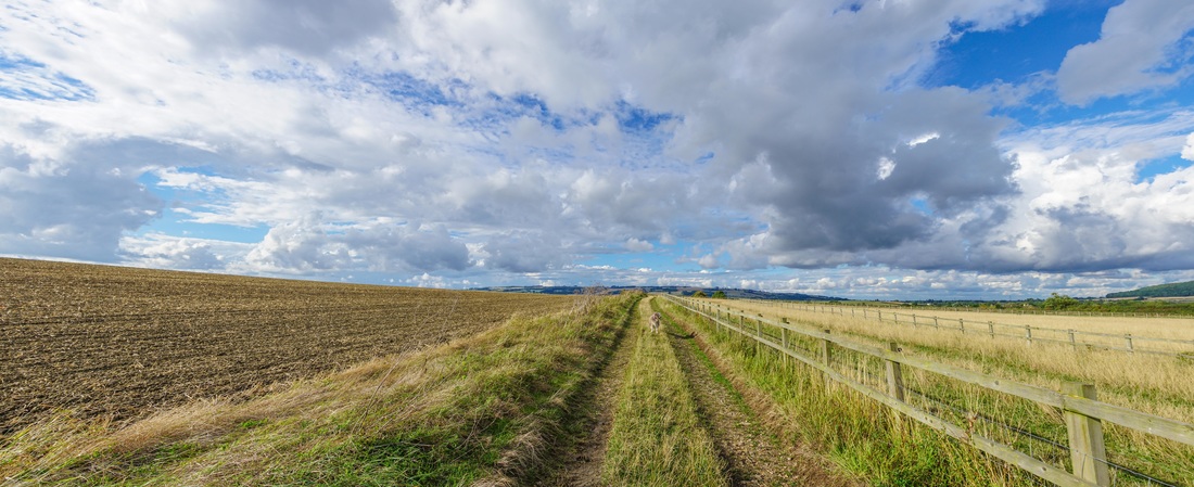 cancer blog photography cheltenham gloucestershire testicular cancer story