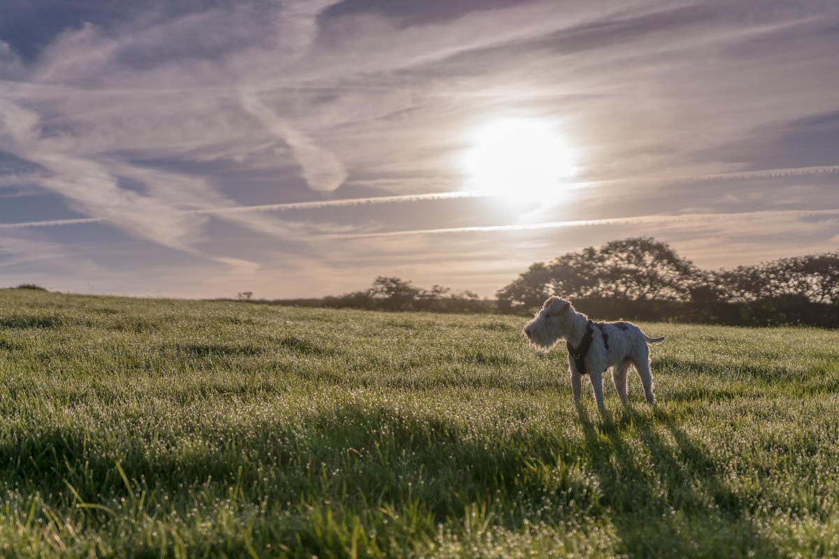 Lee Hawley Photography – -1-2