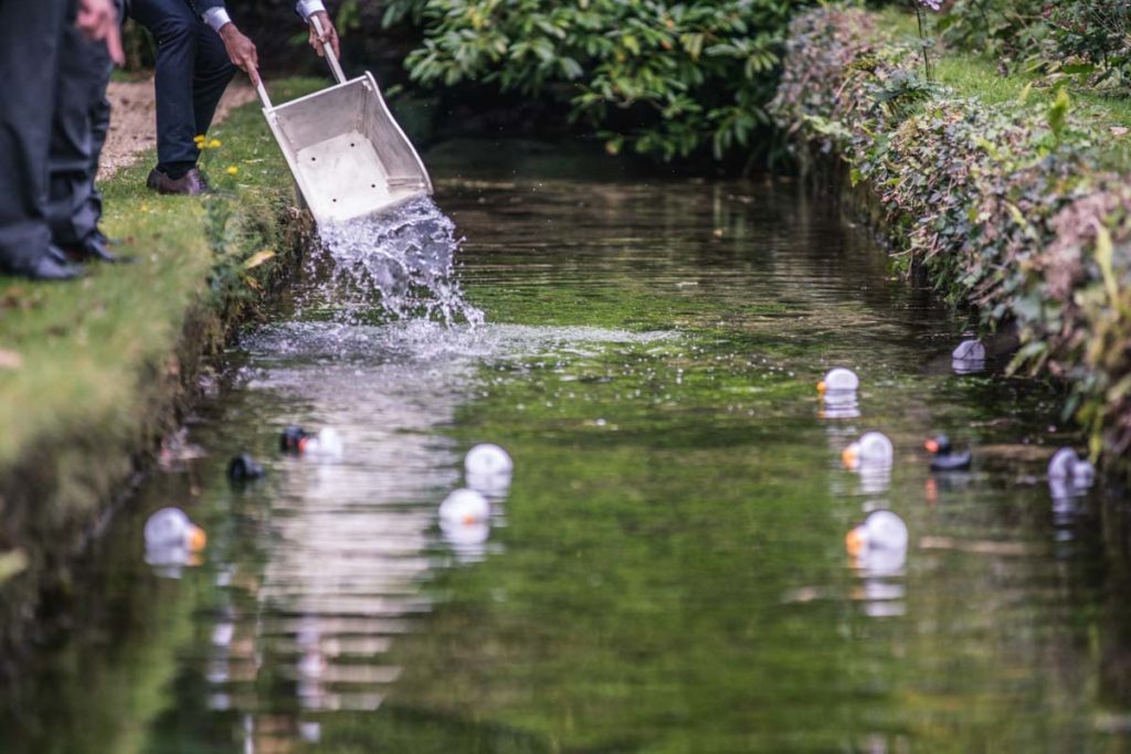 Swan at Bibury Wedding Photographer Lee Hawley Photography Cotswolds