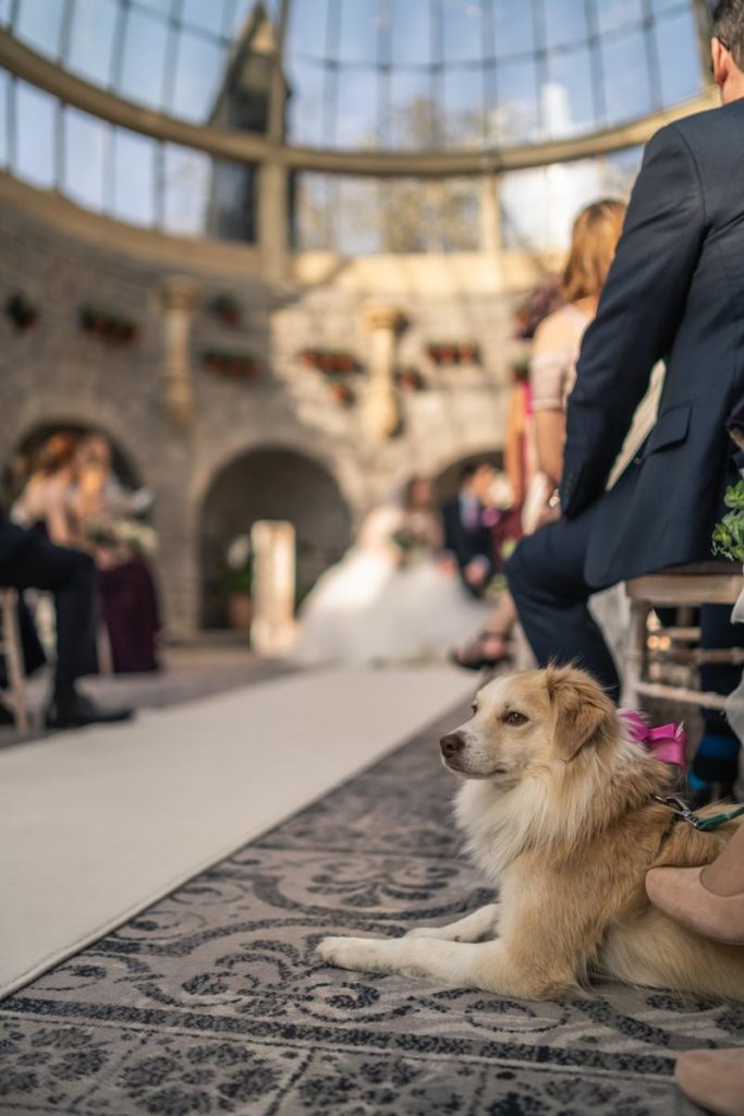 Lee Hawley Photography Natasha &amp; Oscar Tortworth Court Wedding Photographer creative natural