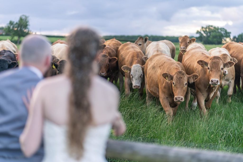 Wootton Park Wedding Photography