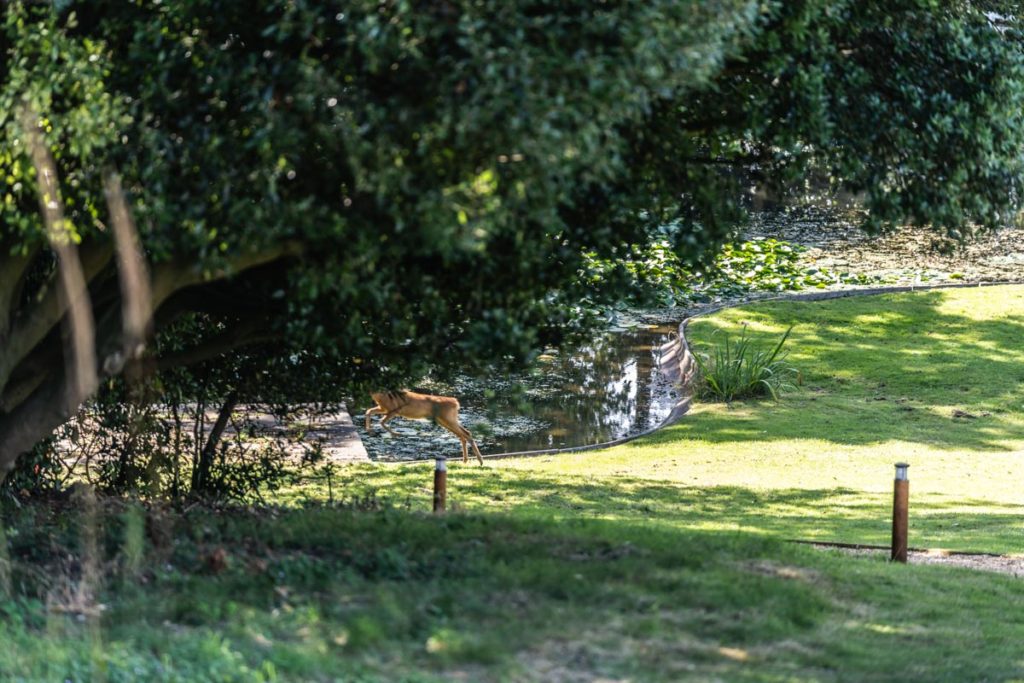 Clevedon Hall wedding photography